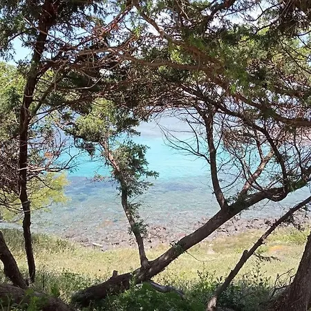 La Perla Di Daire